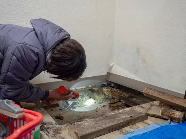 Best Industrial Mold Remediation  in Trumbull Center, CT