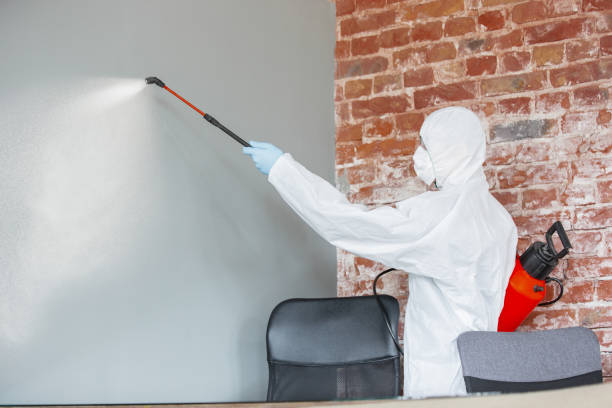 Best Mold Prevention Services  in Trumbull Center, CT