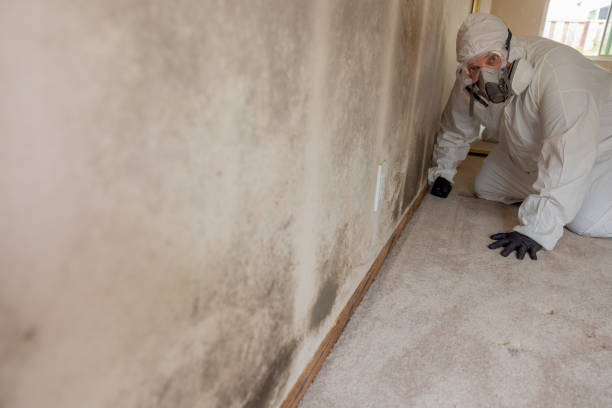 Best Comprehensive Air Testing for Mold Contaminants  in Trumbull Center, CT